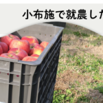 Reason for starting farming in Obuse